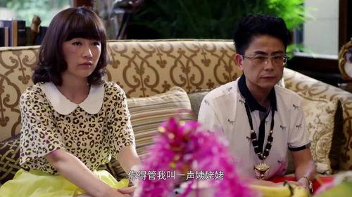 桃花运电视剧,缘起缘灭，爱恨交织的都市情缘